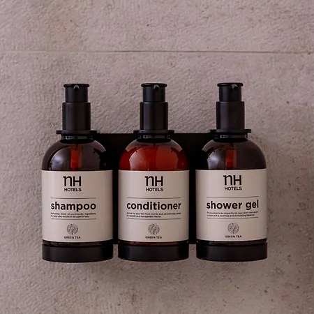 Nh Rijnhotel מלון ארנהיים