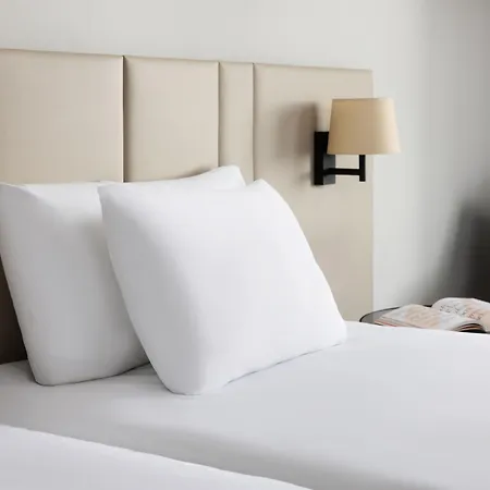 Nh Rijnhotel アーネム